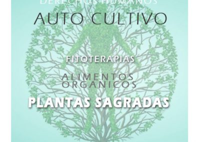 GALERIA CAMPAÑA3